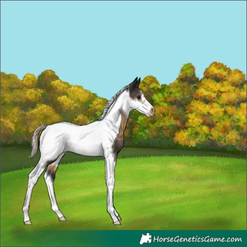 Horse Color:Silver Smoky Black Tobiano Frame 