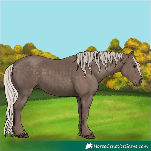 Horse Color:Silver Black 