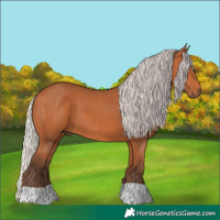 Horse Color:Silver Bay 
