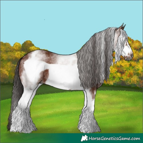 Horse Color:Gray White Spotted Bay Frame 