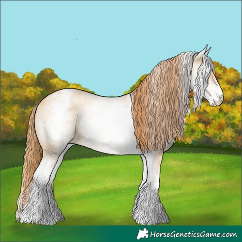 Horse Color:White Spotted Red Dun 