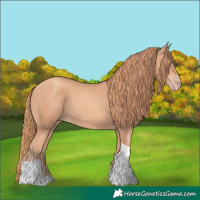 Horse Color:Gold Champagne Tobiano Rabicano 