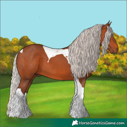 Horse Color:Silver Bay Tobiano 