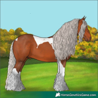 Horse Color:Silver Bay Tobiano