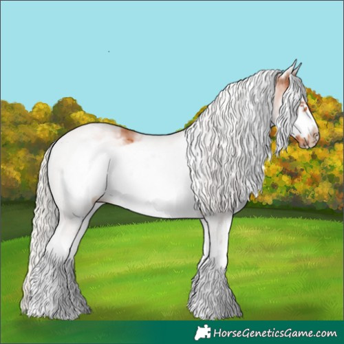 Horse Color:White Spotted Silver Bay Frame