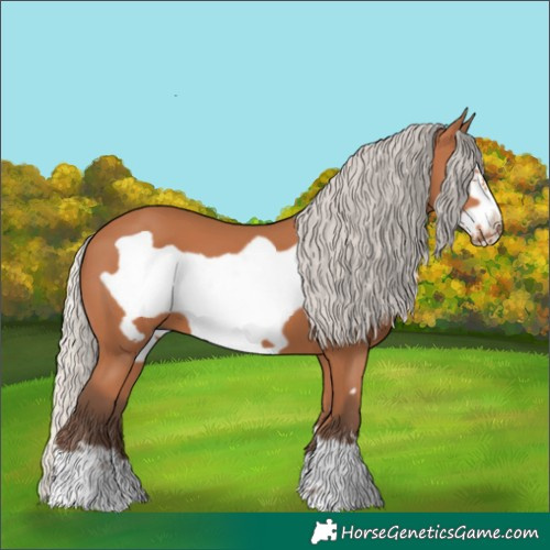 Horse Color:Silver Bay Frame