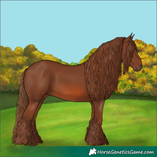 Horse Color:Chestnut 