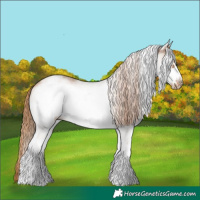 Horse Color:White Spotted Chestnut Frame 