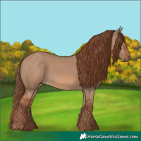 Horse Color:Red Dun 
