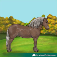 Horse Color:Silver Black 