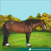 Horse Color:Brown 