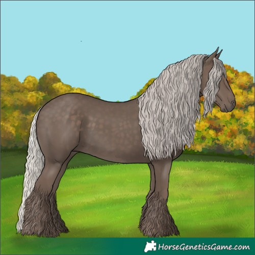 Horse Color:Silver Black 