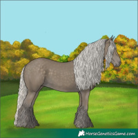 Horse Color:Silver Smoky Black
