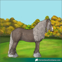 Horse Color:Silver Black 