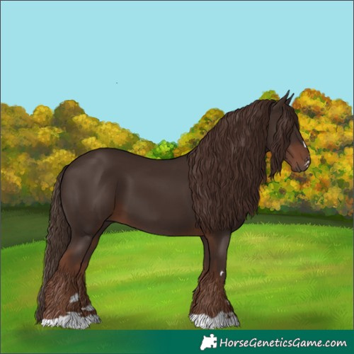 Horse Color:Liver Chestnut