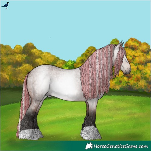 Horse Color:Gray Painted Silver Bay Roan 