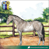 Horse Color:White Spotted Brown Dun Sabino Rabicano