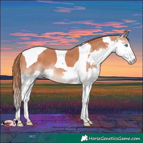 Horse Color:Chestnut Splash Tobiano 