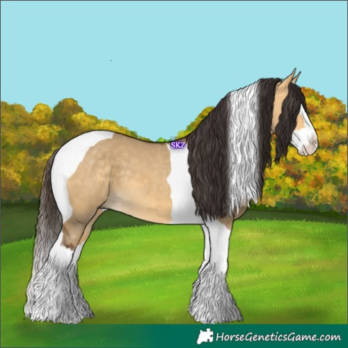 Horse Color:Buckskin Dun Splash Tobiano 