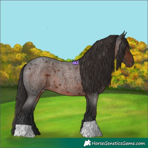 Horse Color:Liver Red Roan 