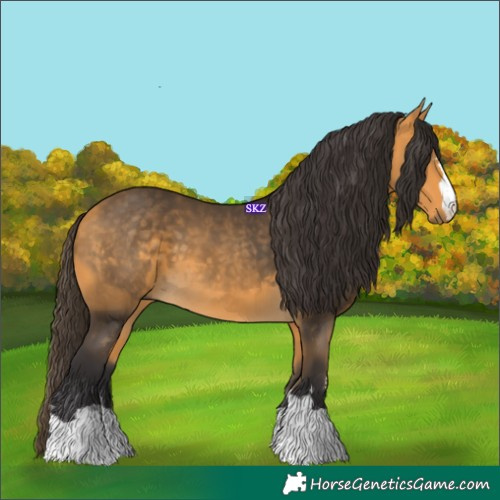 Horse Color:Buckskin 