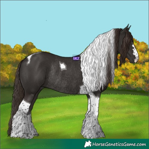 Horse Color:Liver Chestnut Tobiano Rabicano 