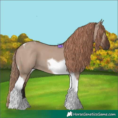 Horse Color:Liver Red Dun Tobiano 