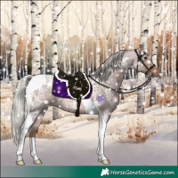 Horse Color:Silver Brown Ice Roan Tobiano 