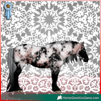Horse Color:Void Watercolor White Spotted Chocolate Silver Brown Ice Dun Splash 