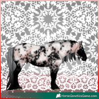 Horse Color:Void Watercolor White Spotted Chocolate Silver Brown Ice Dun Splash 