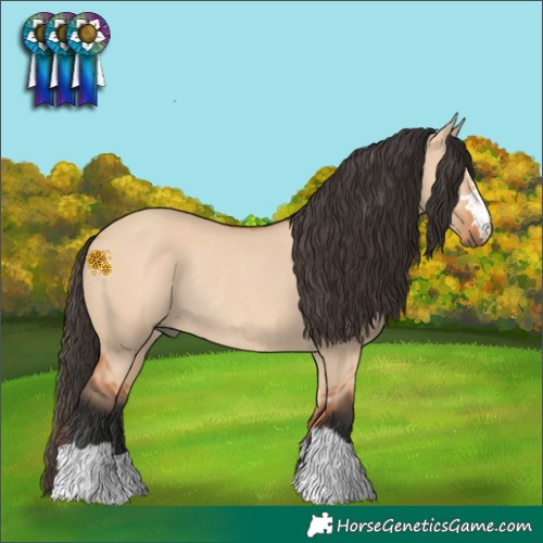 Horse Color:Bay Dun Rabicano 