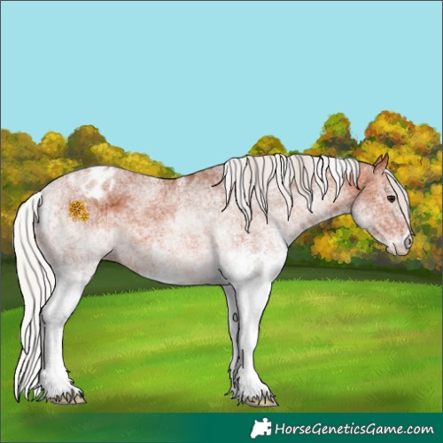Horse Color:White Spotted Silver Bay Blanket 