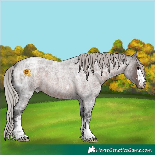 Horse Color:Silver Brown Ice Roan 