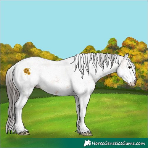 Horse Color:White Spotted Bay Ice Rabicano 
