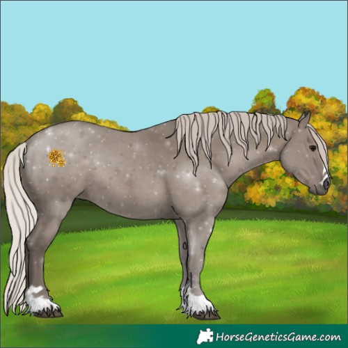 Horse Color:Silver Grullo 