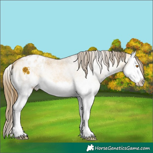 Horse Color:White Spotted Buckskin Dun Splash Varnish 