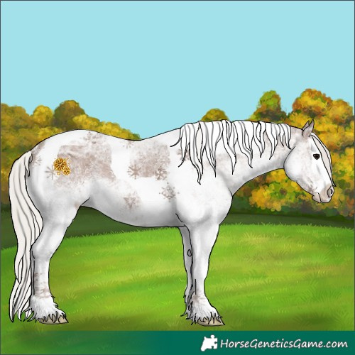 Horse Color:White Spotted Silver Black Ice Splash Tobiano 