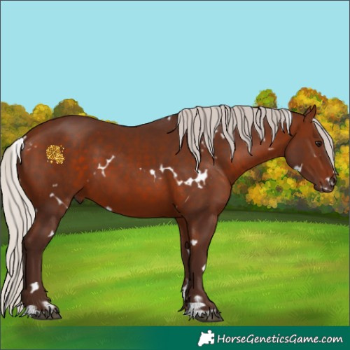 Horse Color:White Spotted Silver Bay 