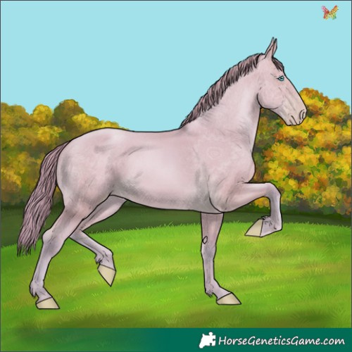 Horse Color:Watercolor Buckskin Pearl 