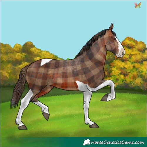 Horse Color:Plaid  Bay Splash Tobiano 