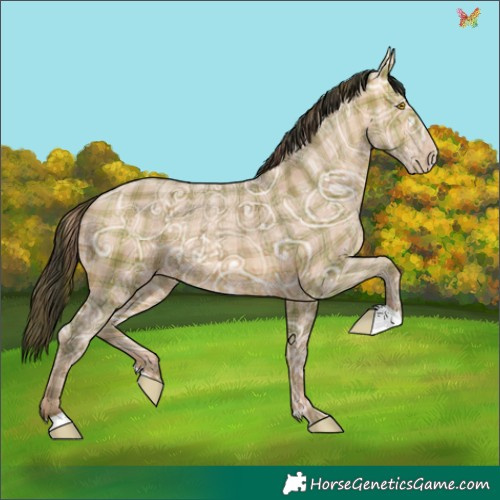 Horse Color:Plaid  Sable Champagne Ice 