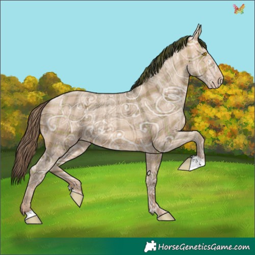 Horse Color:Plaid Sable Champagne Ice