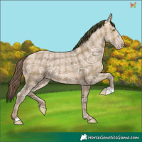Horse Color:Plaid  Sable Champagne Ice 