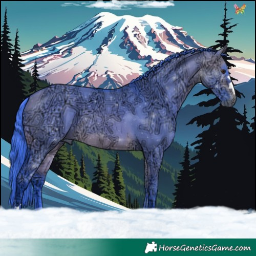 Horse Color:Watercolor Buckskin Ice Dun 