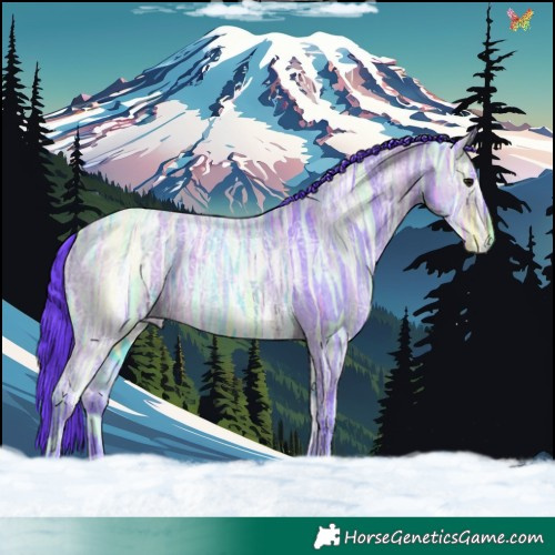 Horse Color:Watercolor Brown Ice Roan 