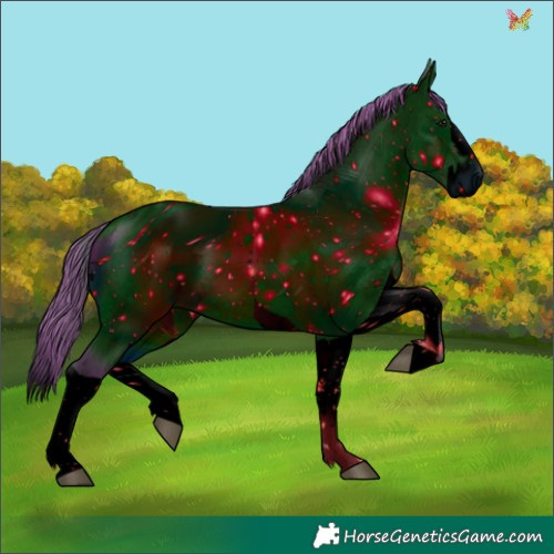 Horse Color:ERROR: UNKNOWN ANOMALY