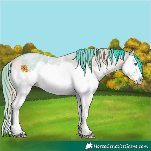 Horse Color:Watercolor Grullo Roan Sabino Splash 