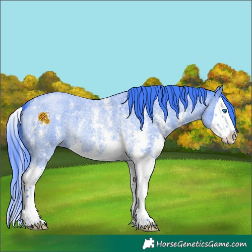 Horse Color:Watercolor Blue Roan Sabino Splash 