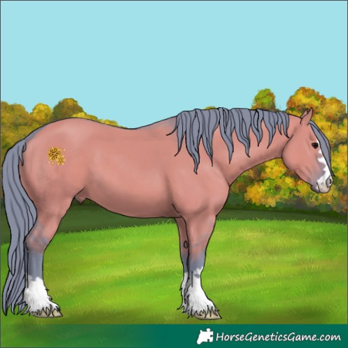 Horse Color:Watercolor Grullo 