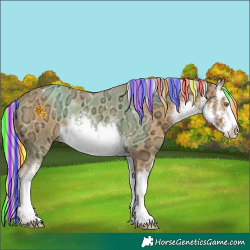 Horse Color:Painted White Spotted Palomino Ice 